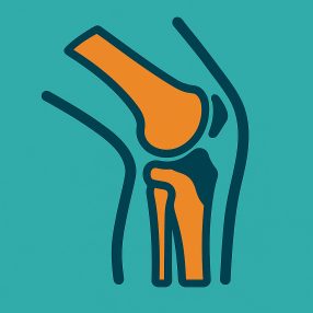 Csontritkulás, Osteoporosis