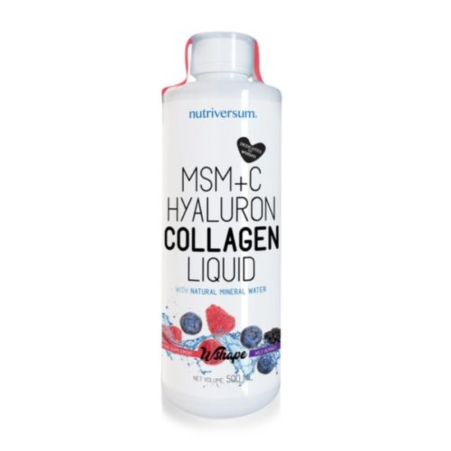 Nutriversum MSM+C Hyaluron Collagen 500ml